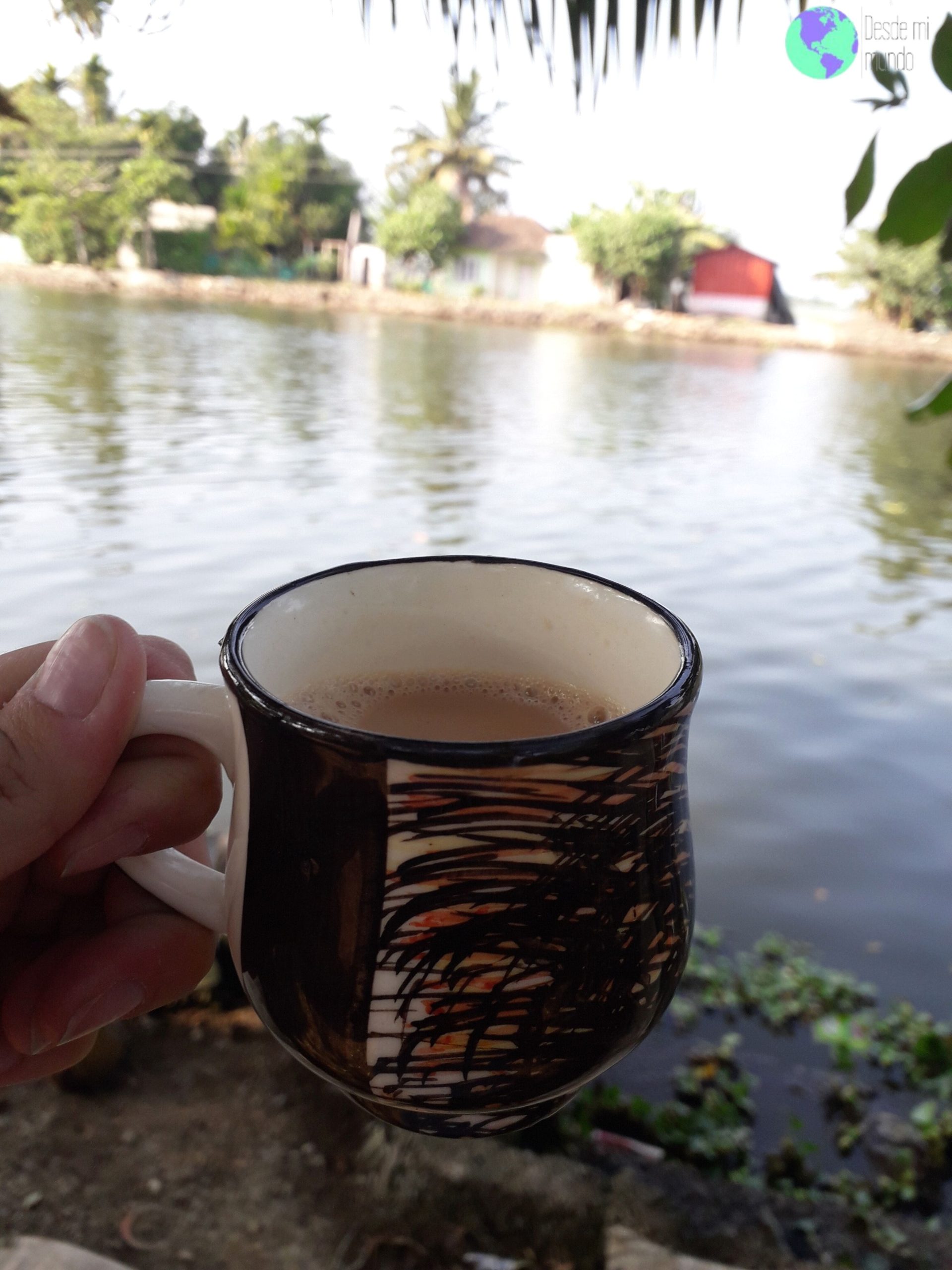 Masala Chai en backwaters - kerala - Desde Mi mundo Blog de viajes
