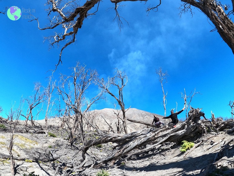 El bosque quemado en la ladera del Volcan Turrialba - Desde mi Mundo Blog de Viajes